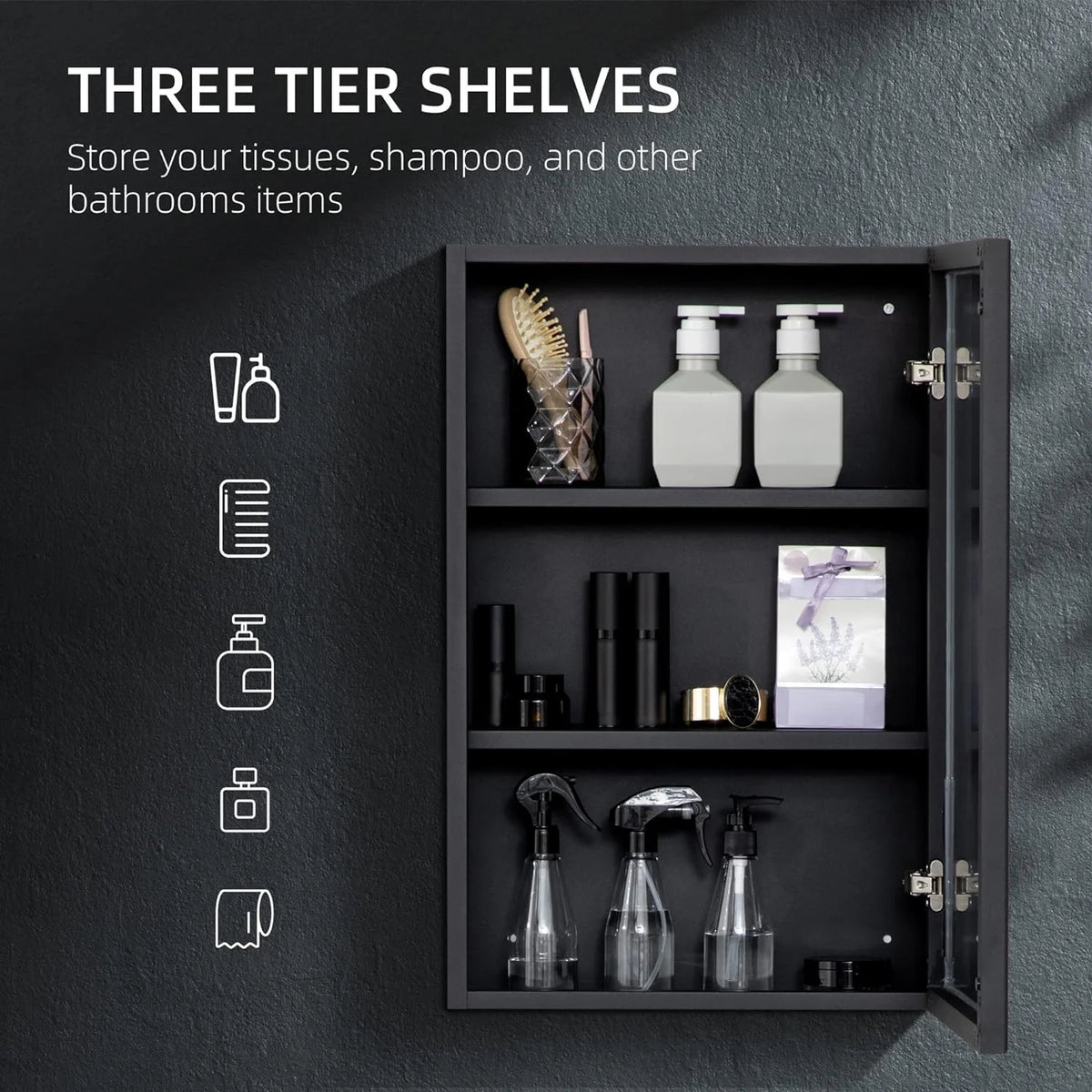 Black Wall-Mounted Stainless Steel Medicine Cabinet with Mirror A2641