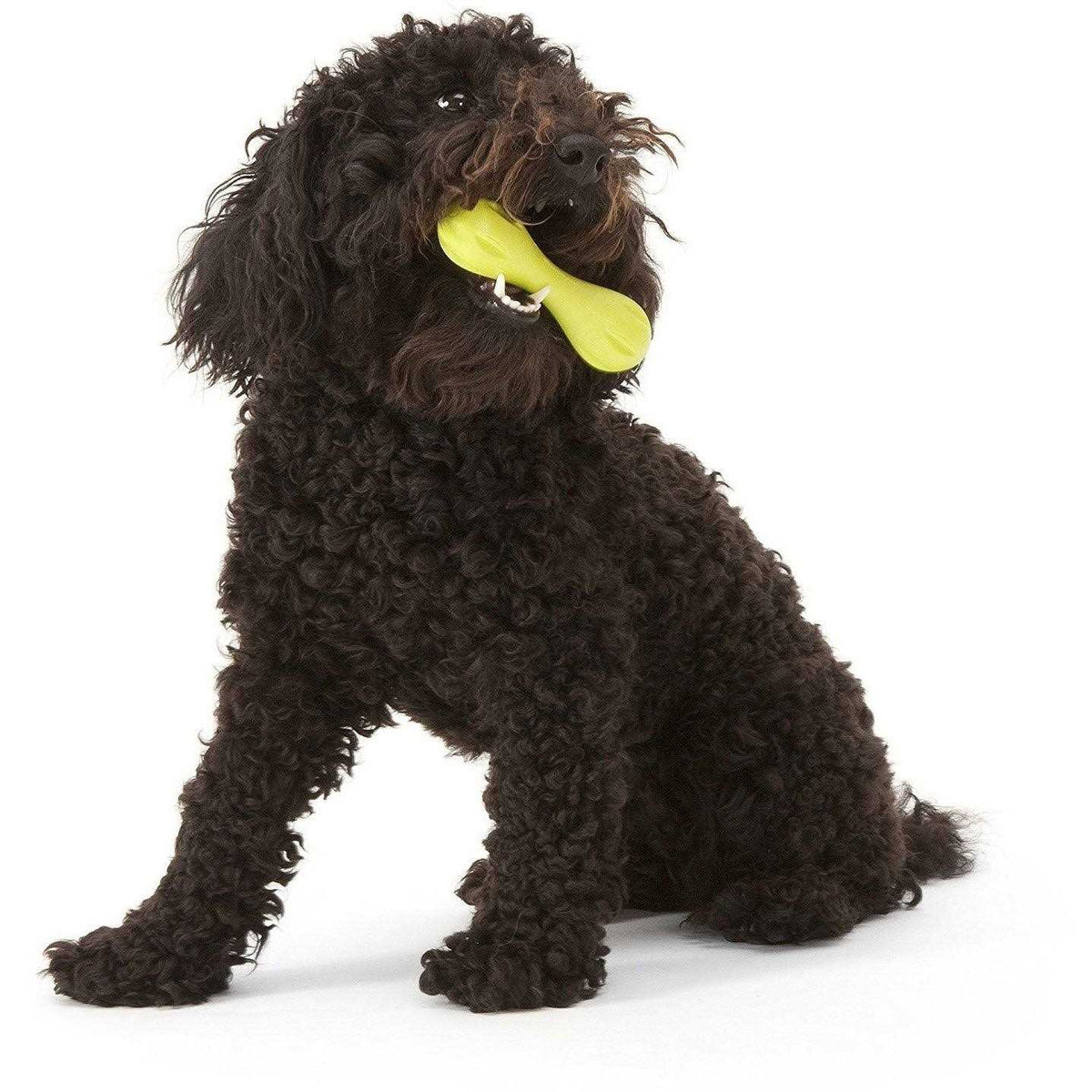 Dog Toy C8623