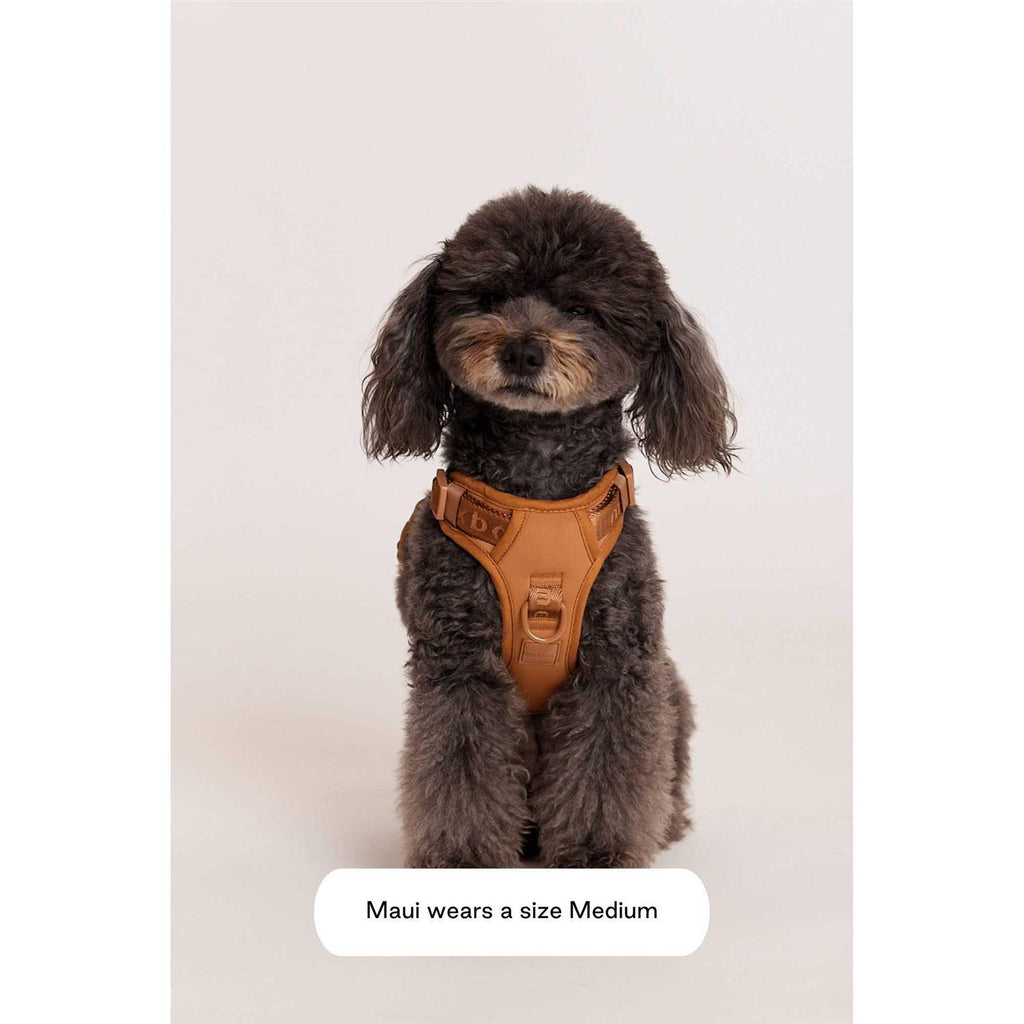 Easy Fit Harness G670