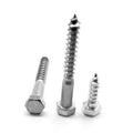 Hex Lag Screw Low Carbon Steel Zinc Plated Pk 62 X804