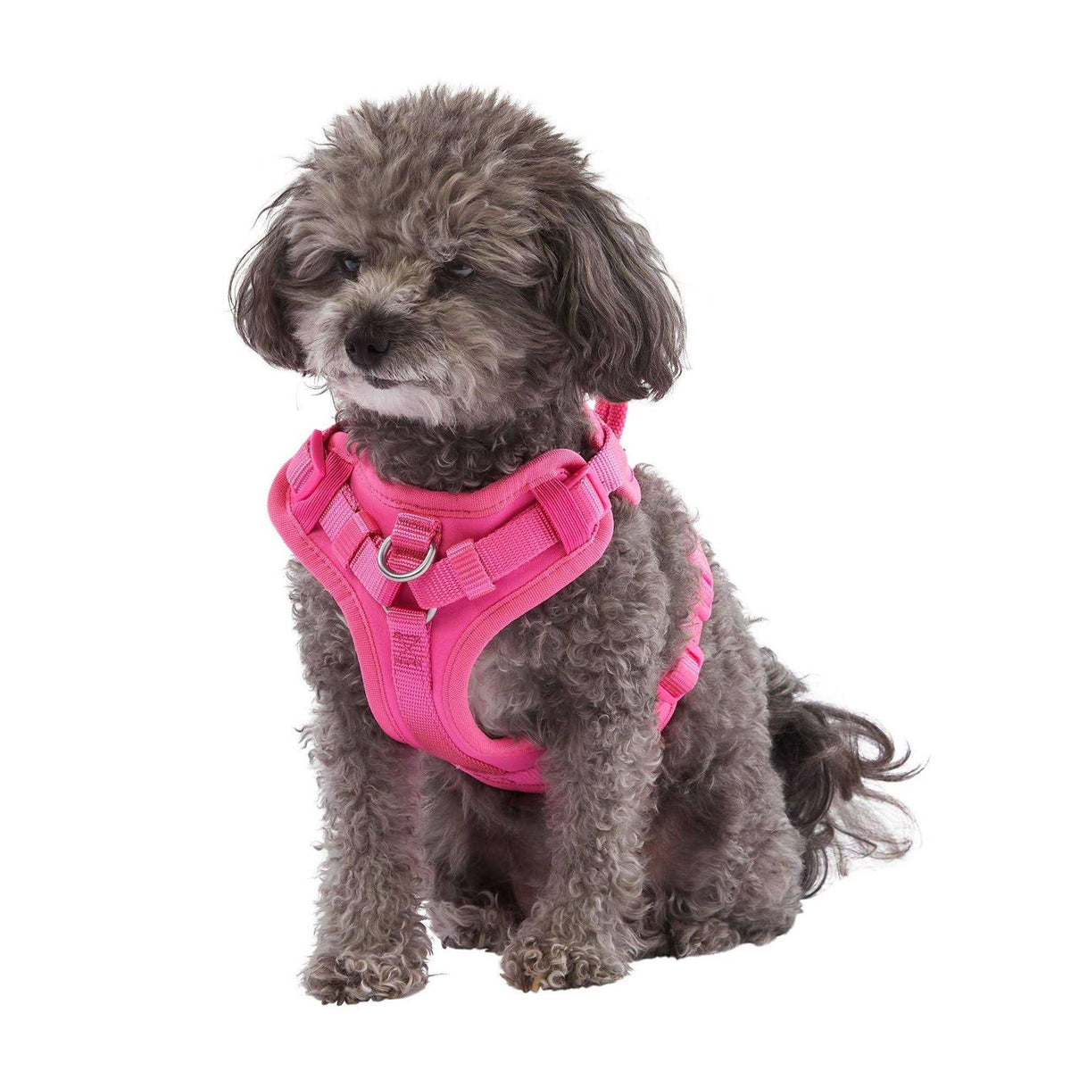 Neoprene Dog Harness X259