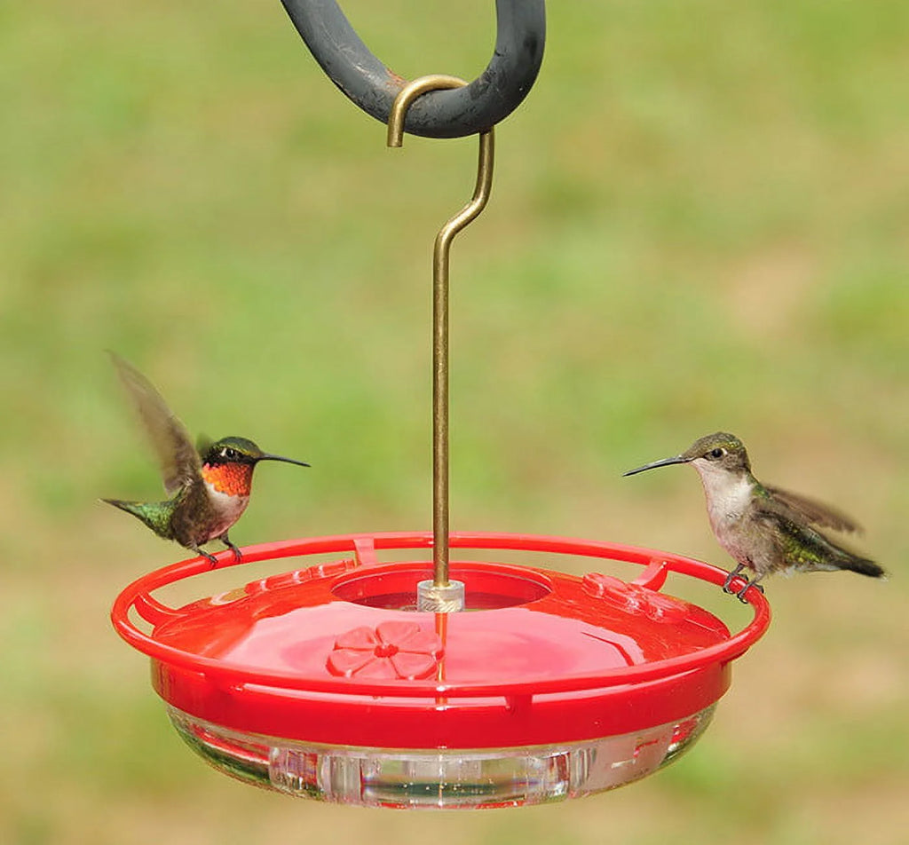 Hanging Hummingbird Feeder R165921