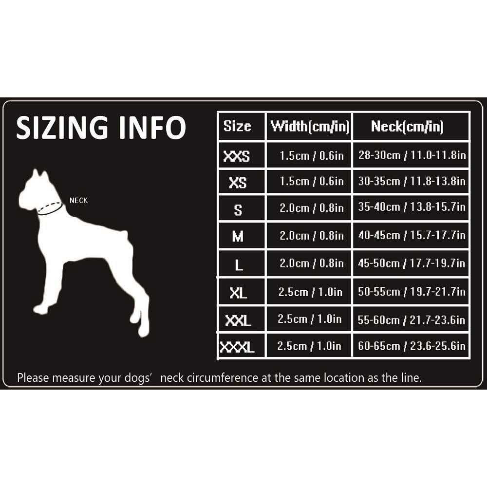 Premium Dog Collar Q18177