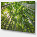 Oversized Forest Canvas Artwork Print H72920