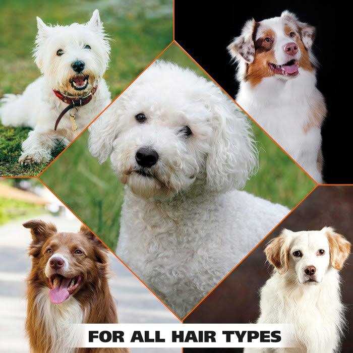 White Brightening Pet Shampoo V536