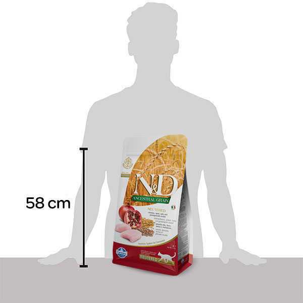 Chicken & Pomegranate Dry Cat Food A42925