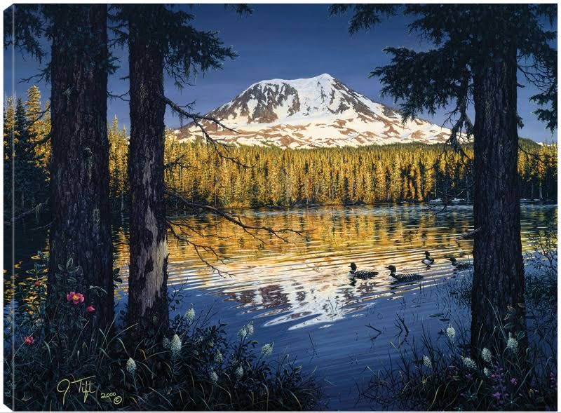 32x24 Canvas Art A253