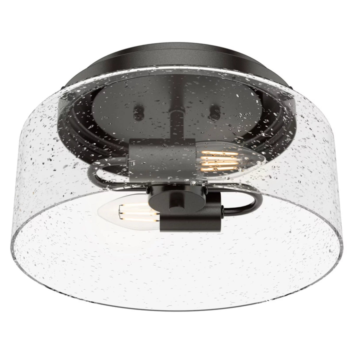 2 Bulb Flush Mount Indoor Light Fixture D2450