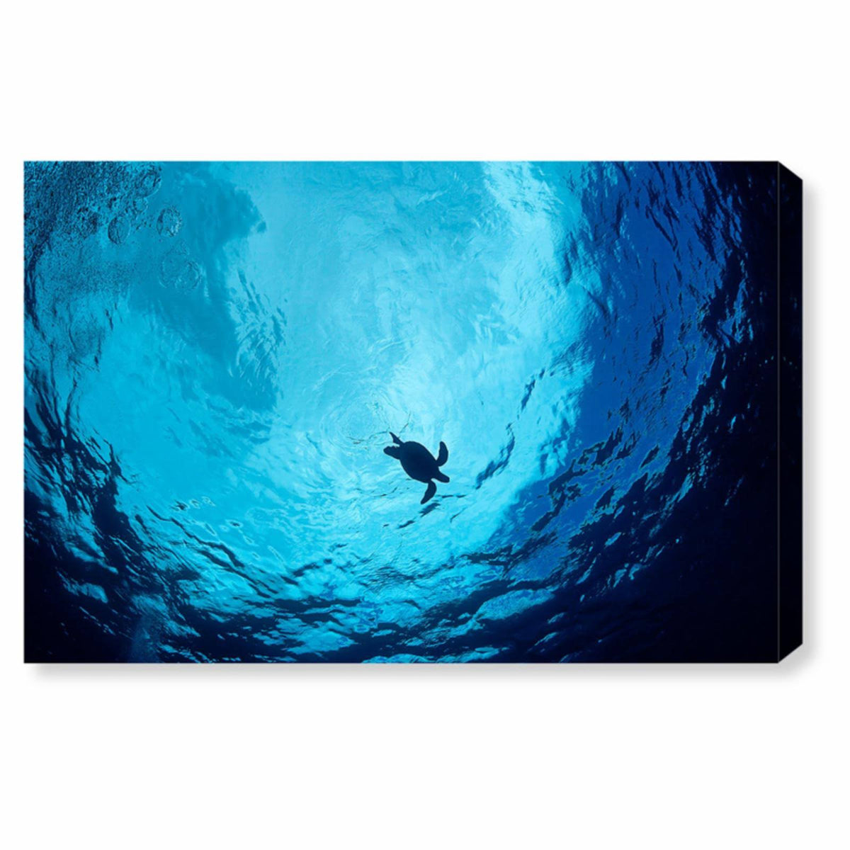 Blue Green Sea Turtle Canvas Art N42702