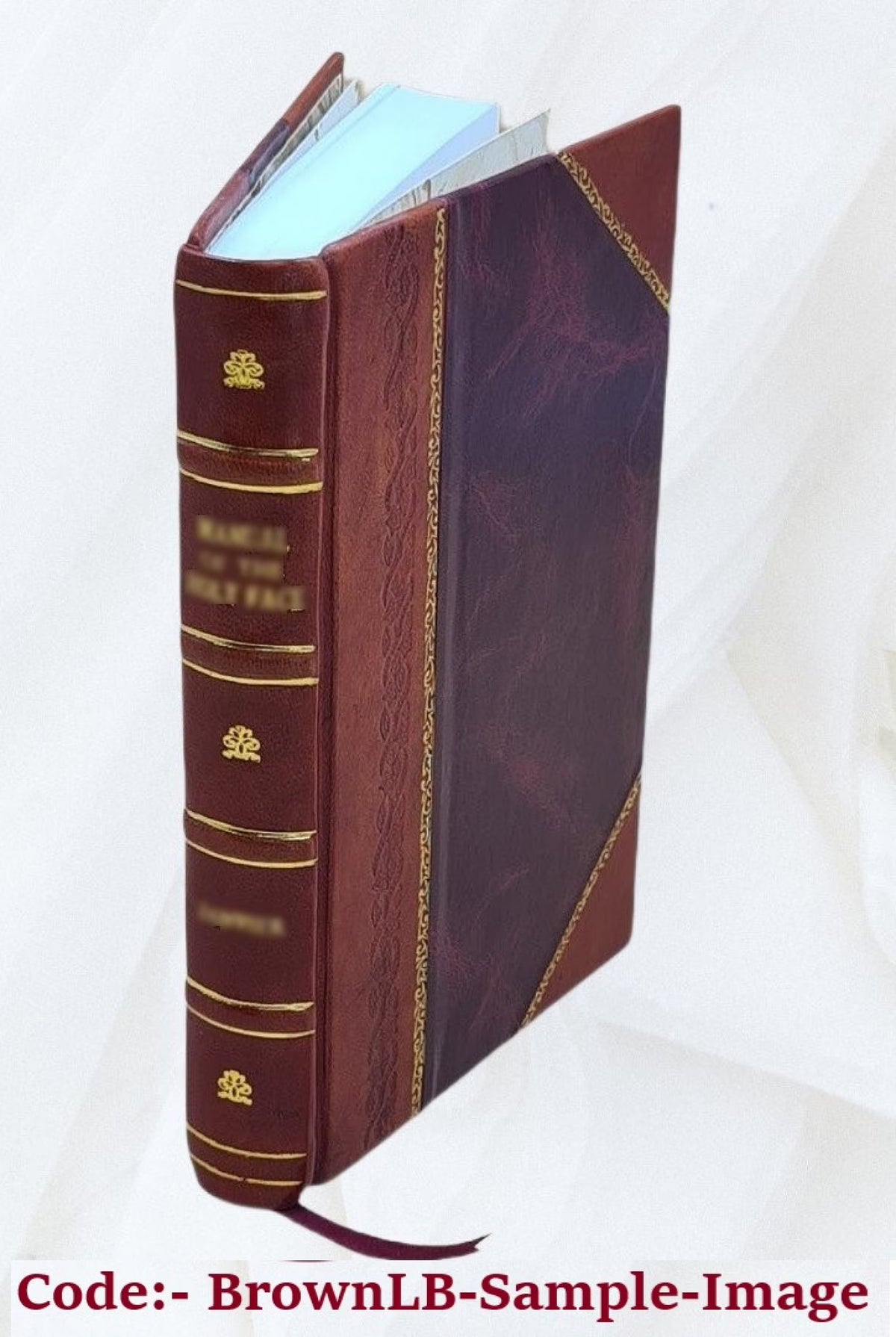 The temple service, Volume v.2 1891 [Leather Bound] D786