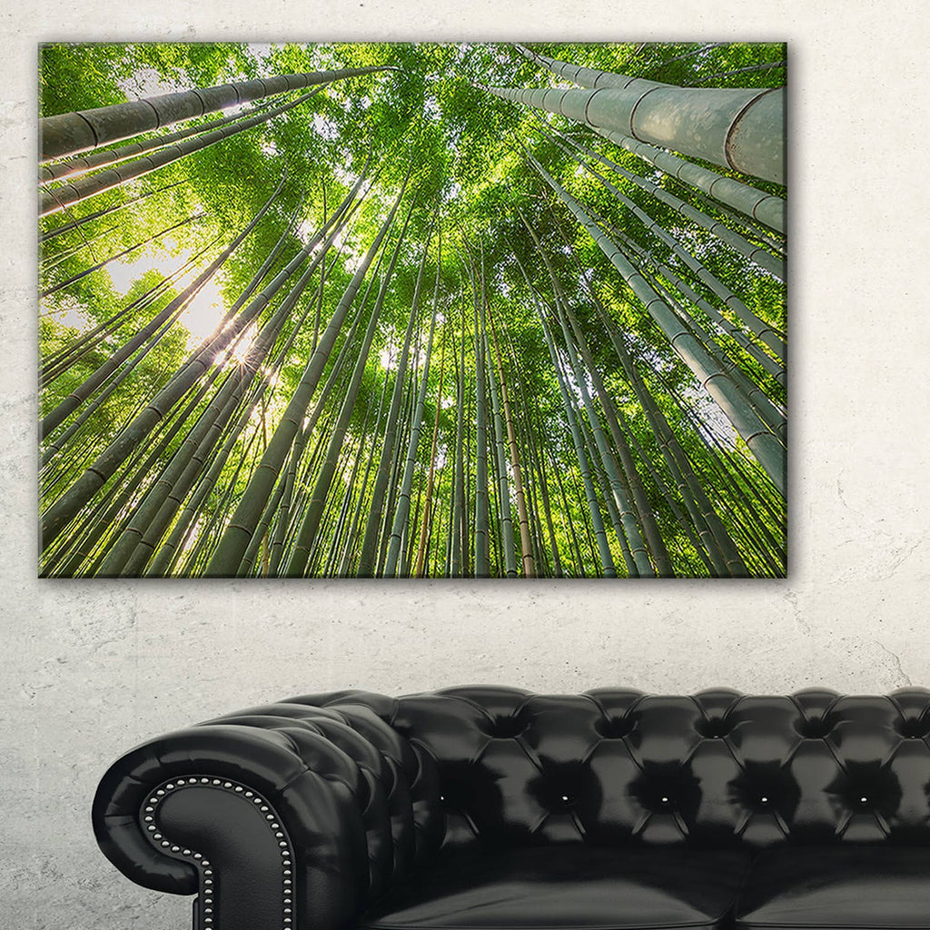 Oversized Forest Canvas Artwork Print H72920