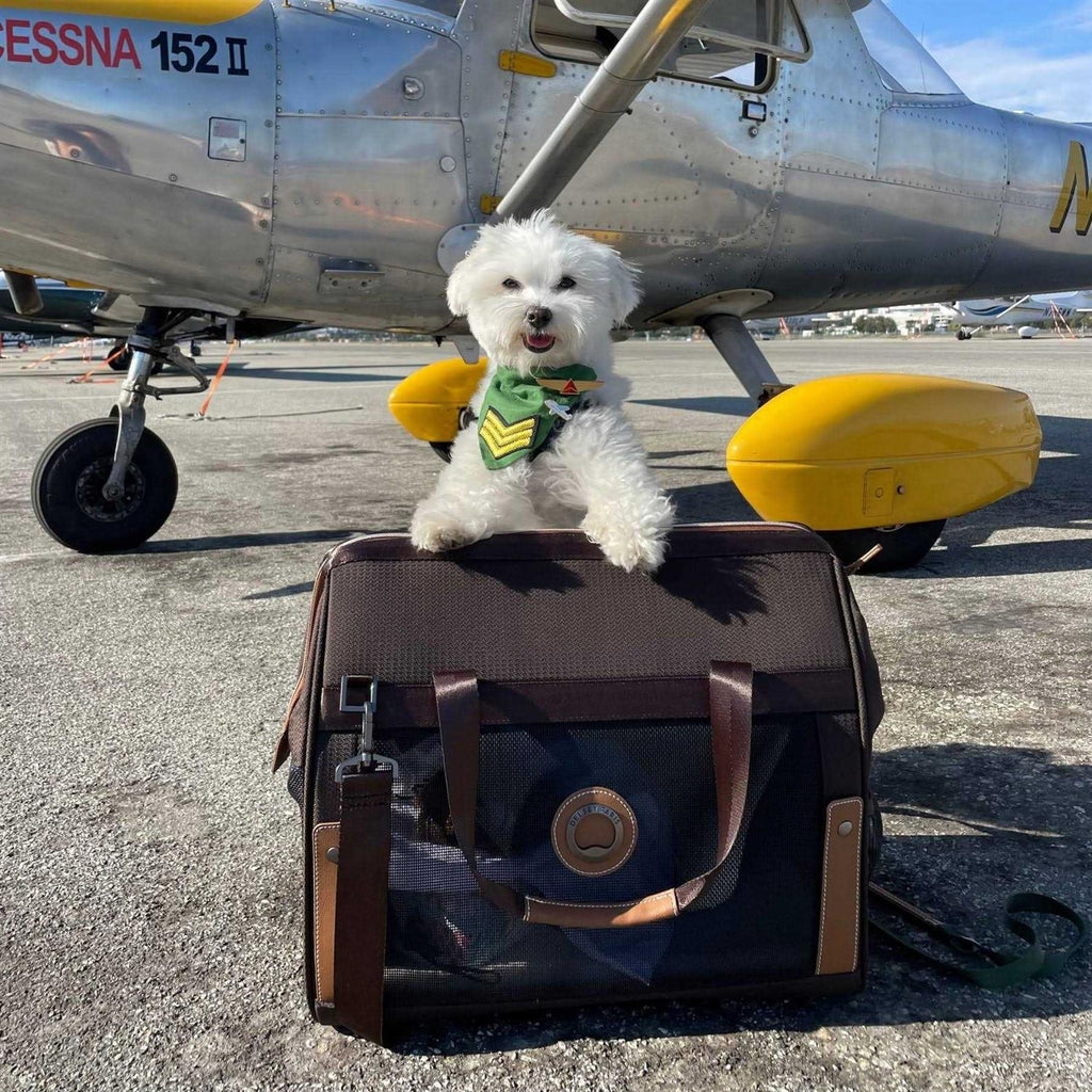 Pet Carrier M619333