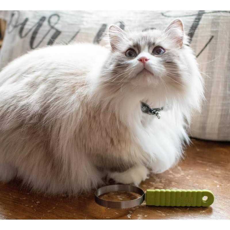 Cat Shedding Blade F480311
