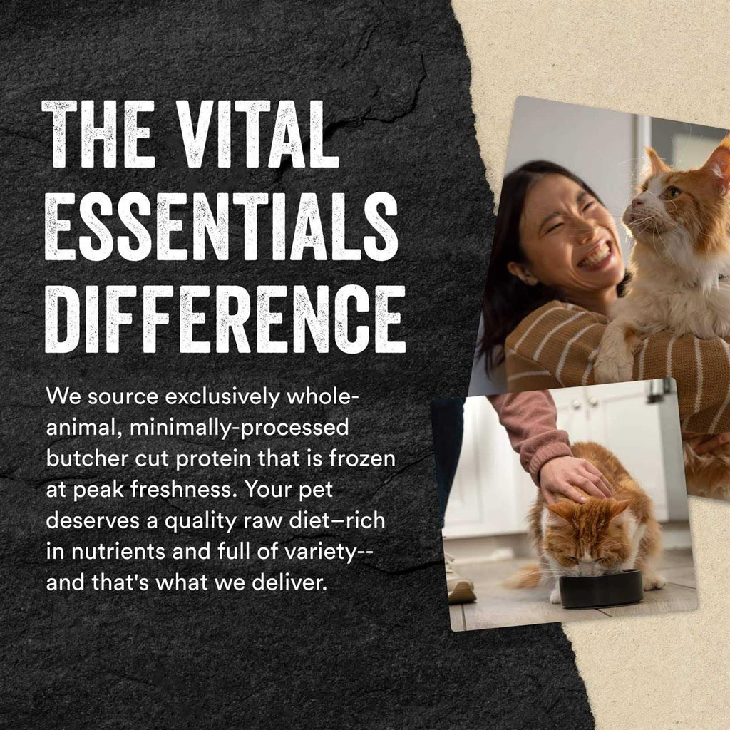 Duck Entree Freeze-Dried Raw Cat Food A718