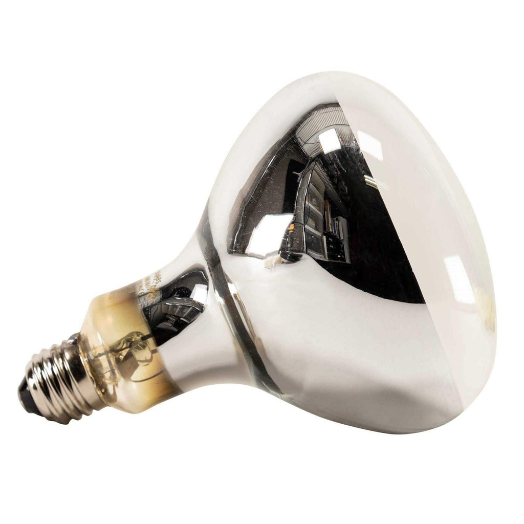 UV Mercury Vapor UVB Lamp G596