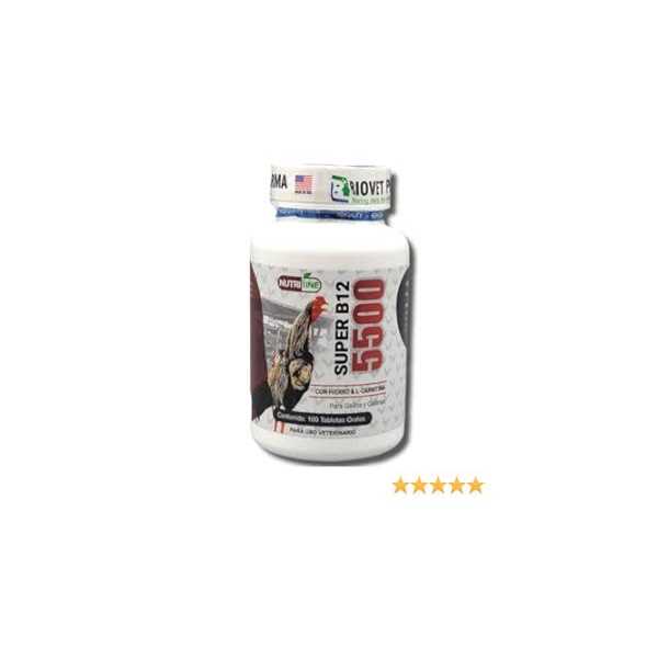 Vitamin B12 5500 100 Tablets with Iron L-Carnitine J670