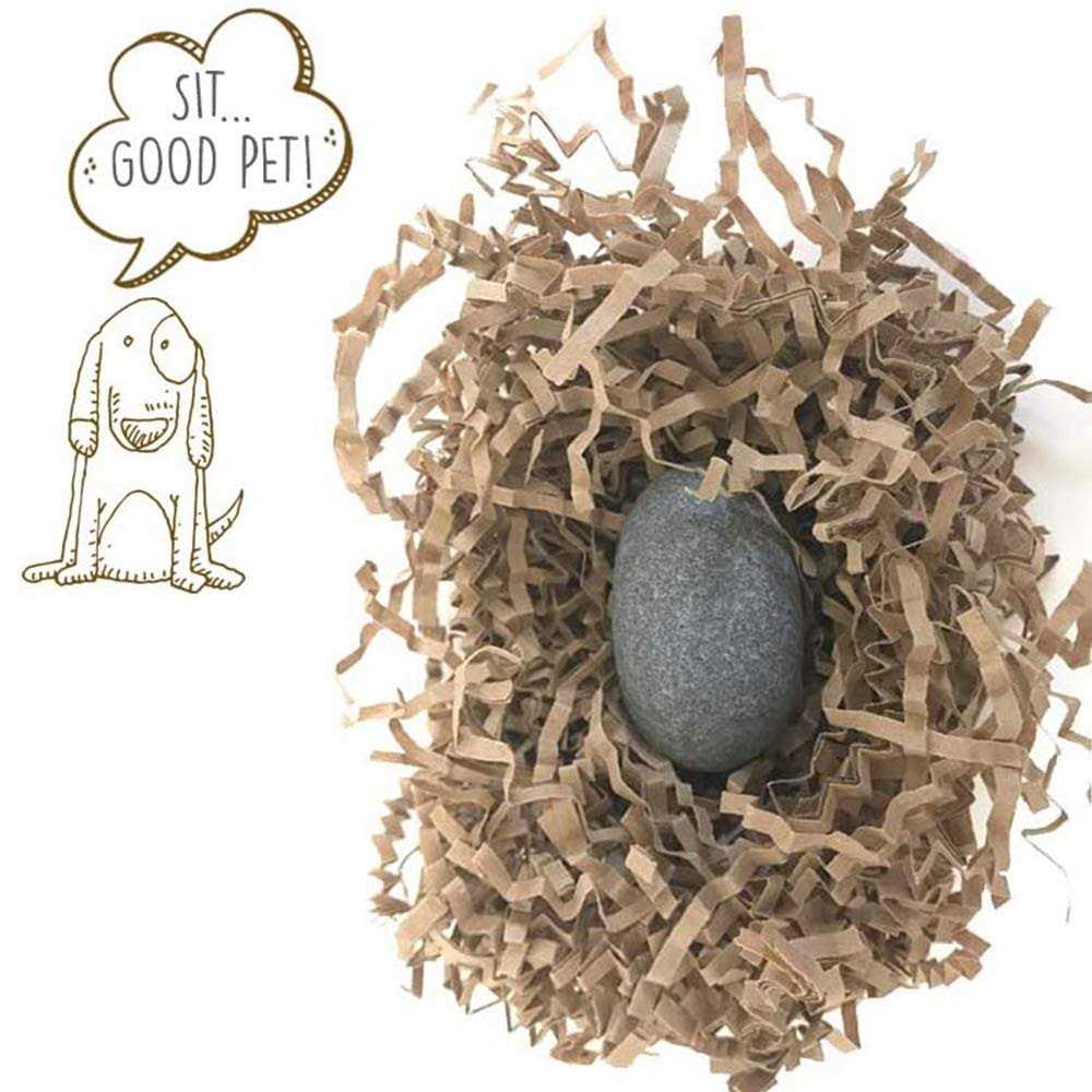 Pet Rock M933
