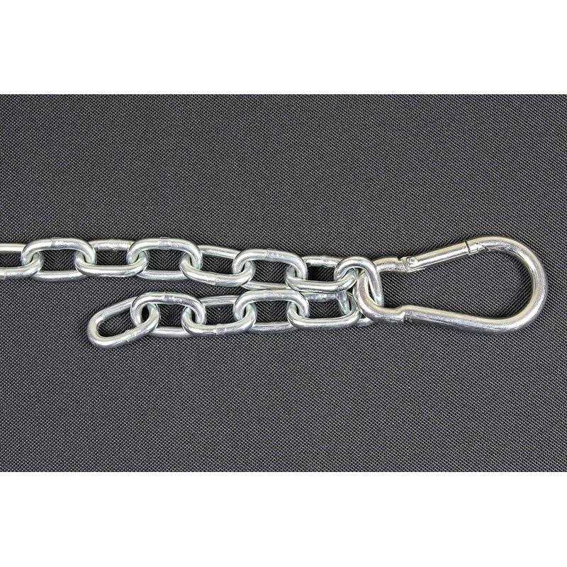 Chew Proof Dog Tether Chain Pet Leash Harness H535740