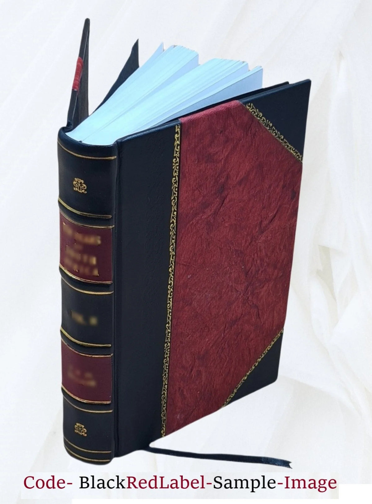 The temple service, Volume v.2 1891 [Leather Bound] D786